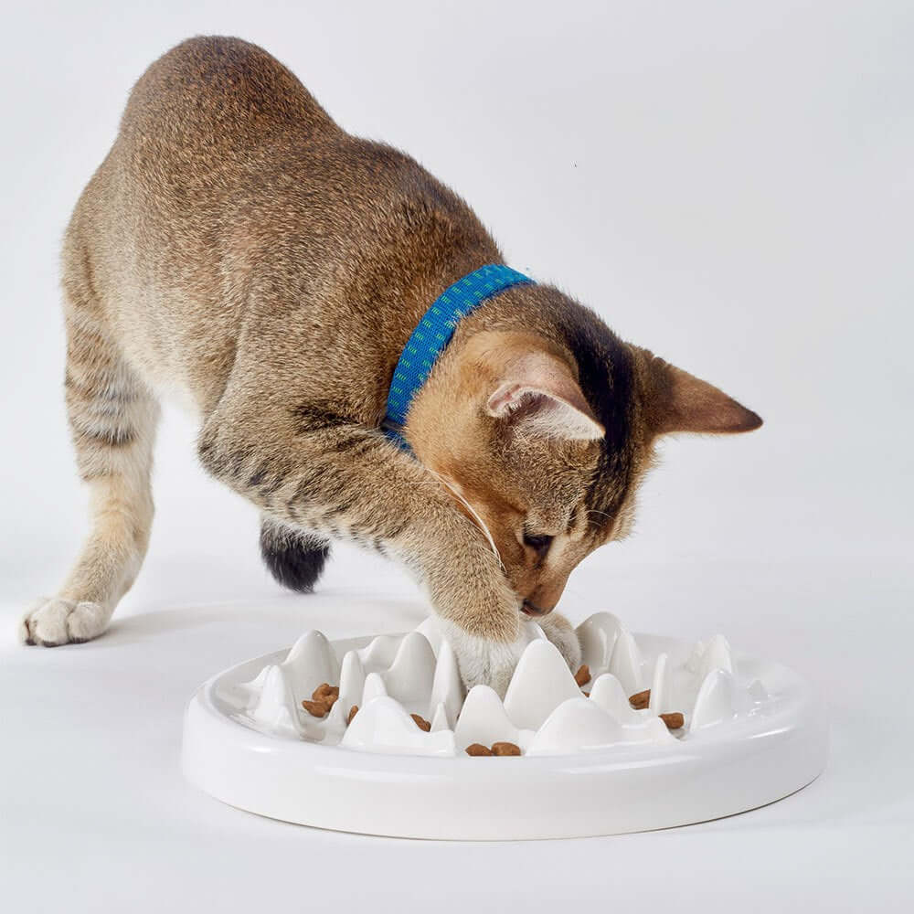 droppzza-slow-food-bowl-ceramic-cat-bowl