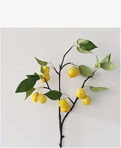 DROPPZZA Modern Minimalist Living Room Decor