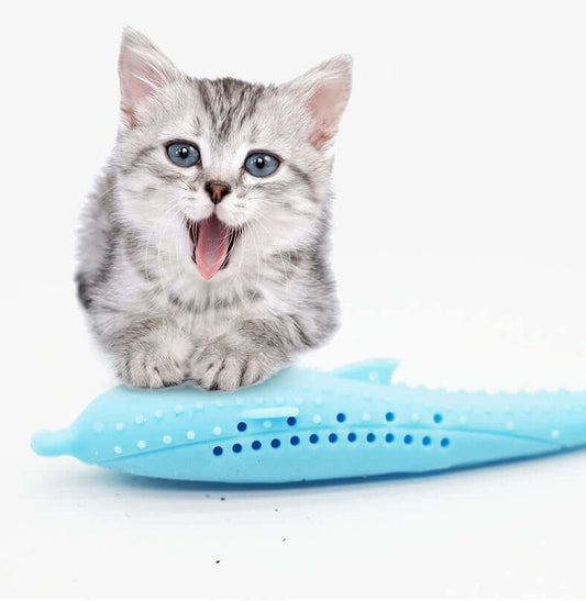 DROPPZZA Cat Dental Toothbrush Toy