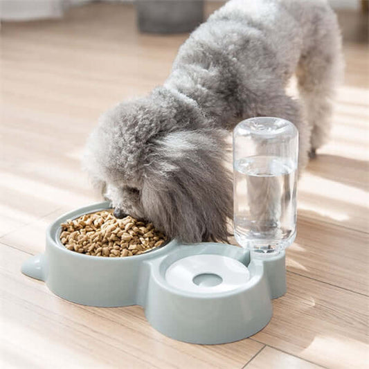 DROPPZZA Stainless Steel Dog Feeding Bowl