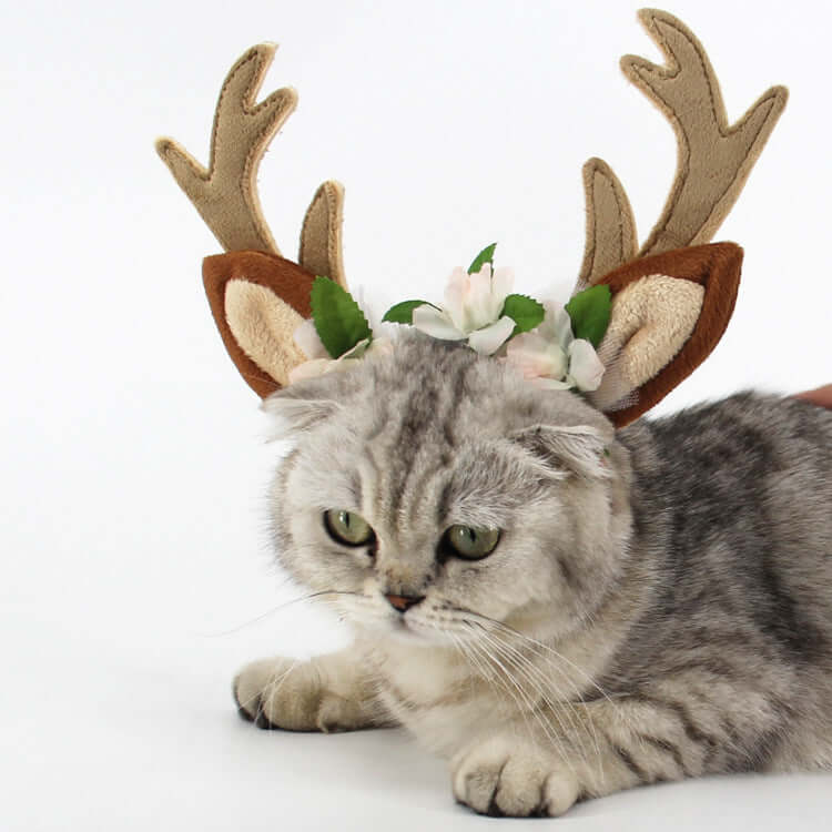 DROPPZZA Pet Christmas Hat for Cats and Dogs
