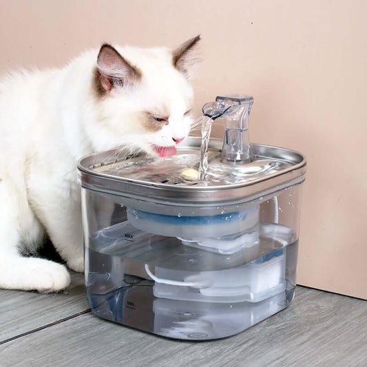 DROPPZZA Pet Automatic Stainless Steel Water Fountain