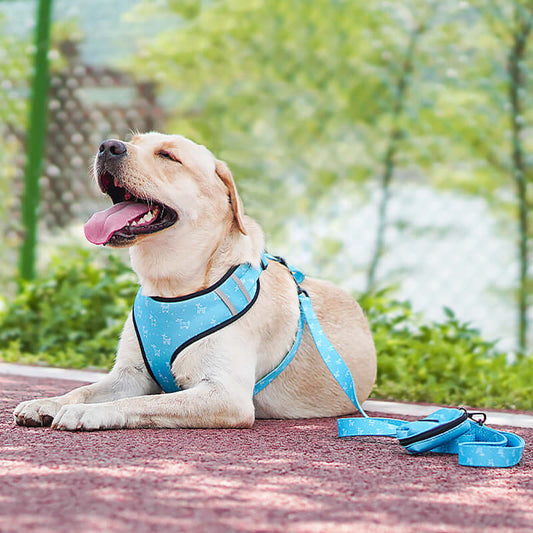 DROPPZZA Dog Bow Leash Harness Accessory