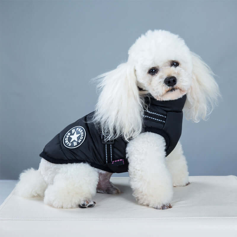 DROPPZZA Winter Dog Coat With Harness Jacket